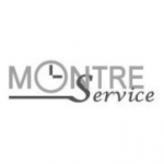 logo Montre service GRENOBLE