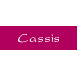 logo Cassis BRUXELLES Ixelles