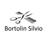 logo Bortolin Silvio