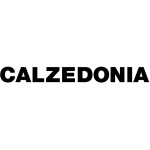 logo Calzedonia Bruges
