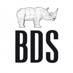 logo BDS