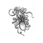 logo Le Kraken