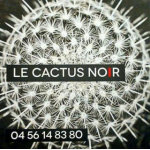 logo Le Cactus Noir
