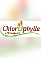 Cours de cuisine 2013-2014 Gilles Daveau  - Chlorophylle