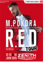 M.Pokora tournée 2015 : -4€ avec la carte Carrefour - Carrefour Spectacles