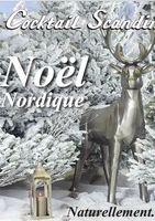 Noël Nordique  - Cocktail Scandinave