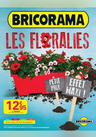 Les floralies : petit prix effet maxi !  - Bricorama