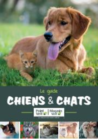 Prospectus Point Vert : Guide chiens et chats 2022-2023