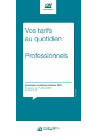 Prospectus Crédit Agricole BELVES : Professionels / Vos Tarifs au Quotidien