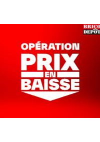 Prospectus Brico Depot SISTERON : Operation prix en baisse