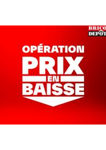 Prospectus Brico Dépôt : Operation prix en baisse