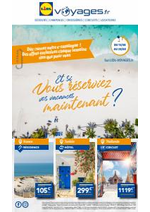 Promos et remises  : Lidl Voyages