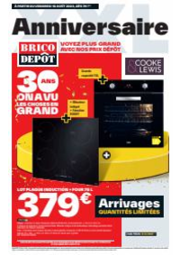 Prospectus Brico Depot DREUX : Anniversaire