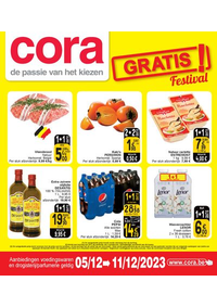 Prospectus Cora HORNU : Gratis Festival