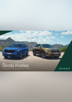 Škoda Kodiaq - Skoda
