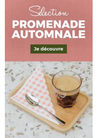 Prospectus Armand Thiery SEYNOD : Sélection Promenade Automnale