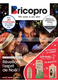 Prospectus Bricopro MIRÉ : Réveillon l'esprit de Noël