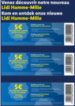 Prospectus Lidl : Hamme Coupons