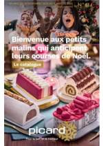 Promos et remises  : Bienvenue aux petits malins qui anticipent leurs courses de Noël