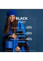 Promos et remises  : Black Friday