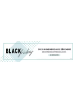 Promos et remises  : Black Friday