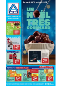 Prospectus Aldi Niederhergheim : Un Noël trés gourmand