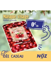 Prospectus Noz Villeneuve sur Lot : Masque visage