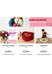 Prospectus Florajet SAINT OUEN : Livraison bouquet de fleurs Saint Valentin