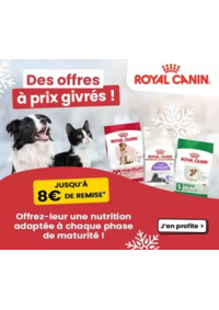 Prospectus Animalis Beynost : Des offres à prix givrés !