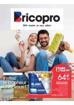 Prospectus Bricopro : Brico Pro Multithèmes 1 - 2025