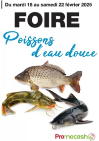 Prospectus Promocash Pontarlier : Foire poissons d'eau douce