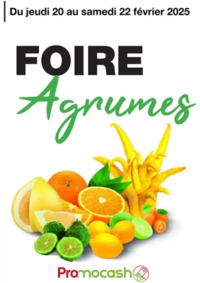 Prospectus Promocash Salaise sur Sanne : Foire Agrumes