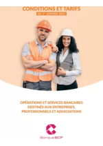 Prospectus  : OPÉRATIONS ET SERVICES BANCAIRES DESTINÉS AUX ENTREPRISES, PROFESSIONNELS ET ASSOCIATIONS