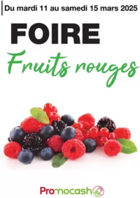 Prospectus Promocash Saint Martin des Champs : Fruits rouges