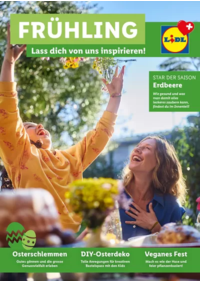 Prospectus Lidl Dübendorf : Frühling - DE