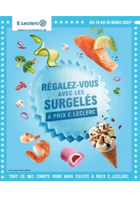 Prospectus E.Leclerc BOBIGNY : SURGELES - DIGITALE - MIXTE