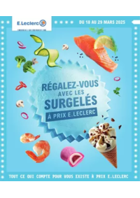 Prospectus E.Leclerc CHECY : SURGELES - DIGITALE - MIXTE