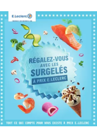 Prospectus E.Leclerc FALAISE : SURGELES - DIGITALE - MIXTE