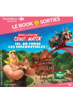 Promos et remises  : CARREFOUR SPECTACLES - LE BOOK DE VOS SORTIES