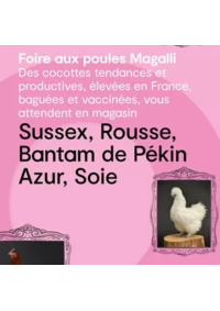 Prospectus Coté Nature Cambrai : Les produits de saisons sont évidemment mis en avant. Rendez-vous chez Côté Nature