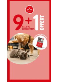 Prospectus Médor et Compagnie Saint Martin d’Hères : 9 + 1 offert
