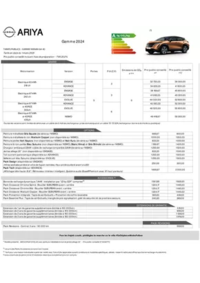 Prospectus Nissan DELLE : Nissan ARIYA