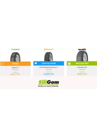 Prospectus Siligom FONTENAY SOUS BOIS : SILIGOM promotiones