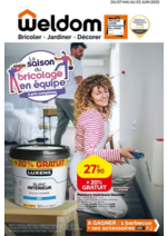 Prospectus  : La saison du bricolage en équipe
