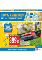 Prospectus Brico Cash : C’est l’anniversaire Brico Cash, venez en profiter !