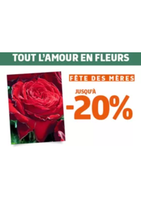 Prospectus Jardiland METZ : Notre offre végétal spéciale fête des mères