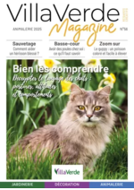Prospectus  : Bien les comprendre