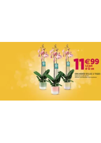 Prospectus Delbard Tonnerre : Les promotions sont là !