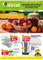 Prospectus Kiriel : Eté saveur, prix en douceur !