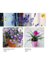 Prospectus Le Jardin des Fleurs : Astro Plantes : Gémeau